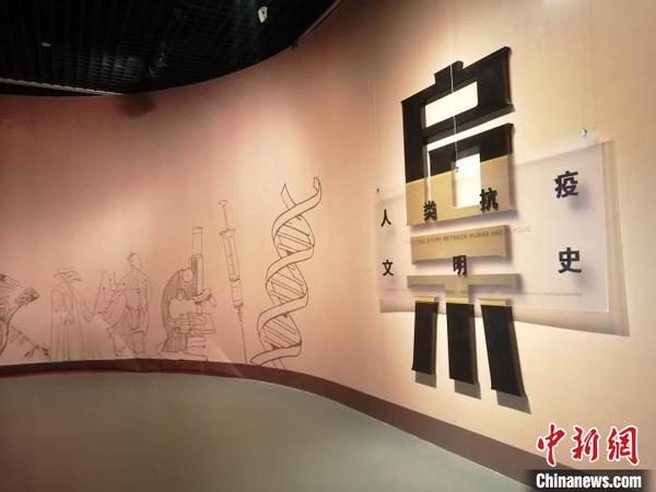 “啟示--人類抗疫文明史”展4日在遼寧省博物館進(jìn)行。　李晛 攝