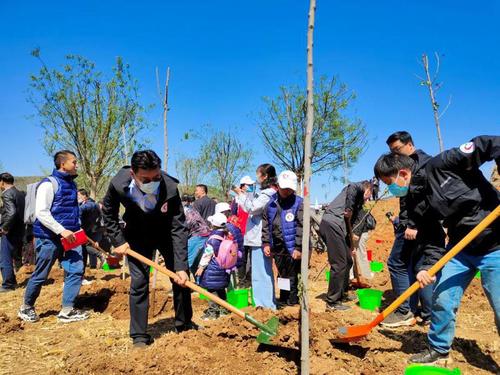 太行山革命老區(qū)山西省陵川縣植樹現(xiàn)場(chǎng)